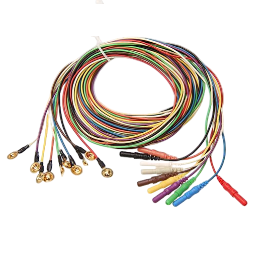 EEG EMG�ĵ缡�絼����