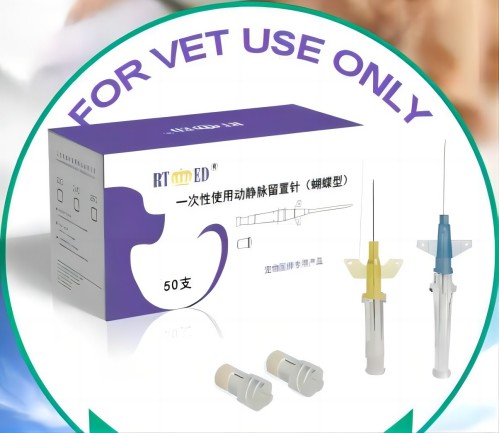 ���ϿƳ����������ײ�������С