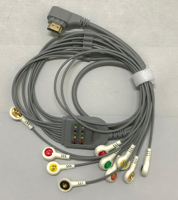 ��̬������