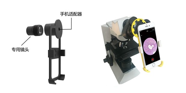 ��΢������֧��