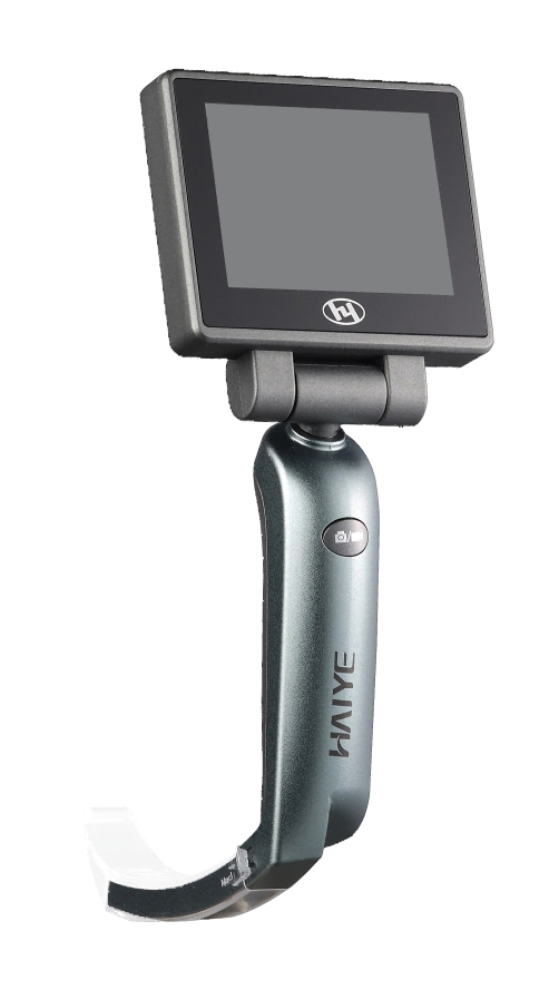 ���Ӻ���