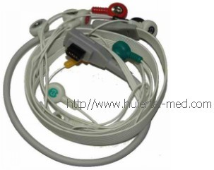 GE �޽�ʮ������ʽ����