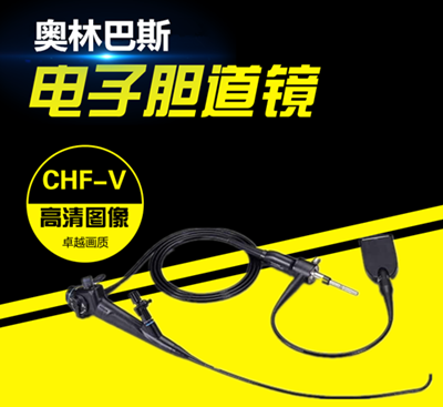 ���ְ�˹���������ڿ������ӵ�����CHF-V