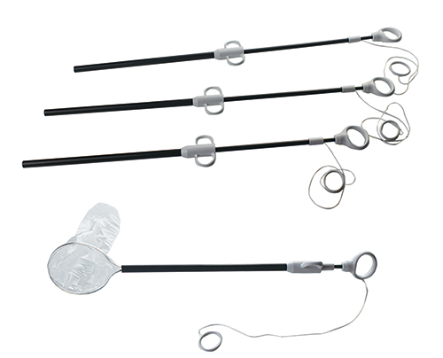 һ����ʹ���ڿ����걾ȡ���