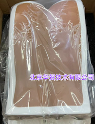 ����CIRS 034 ��׵ѵ��ģ��