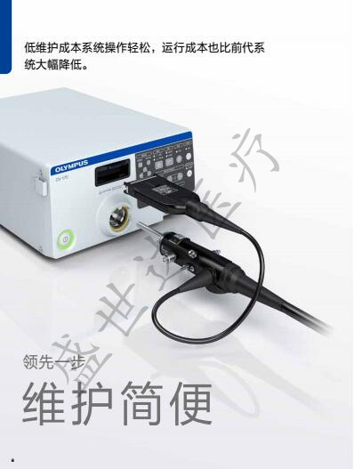 170ϵ�е��ӽ᳦�����ְ�˹�����ھ���Ӫ����