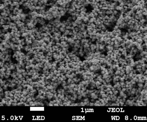 ������DNA��ȡ����