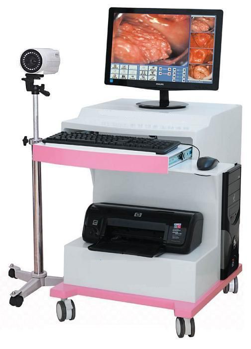 �������������