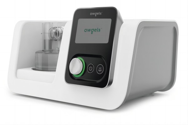 ����������ʪ��������