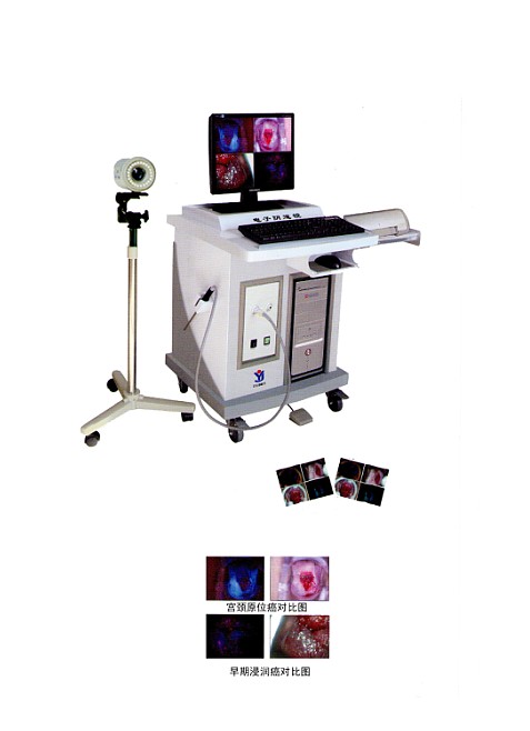 ӫ���������������