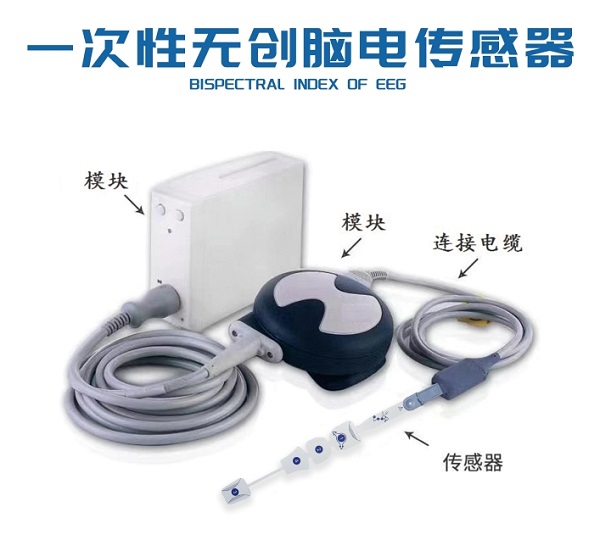 һ�����Ե紫����