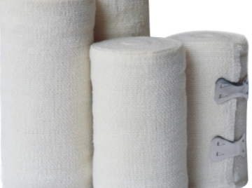 ����Ա���