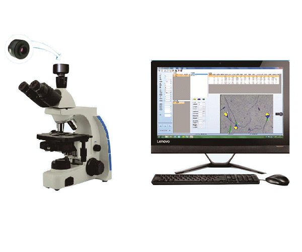 ���ӻ����ܶȲ�����