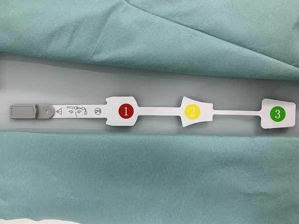 �Ե紫����