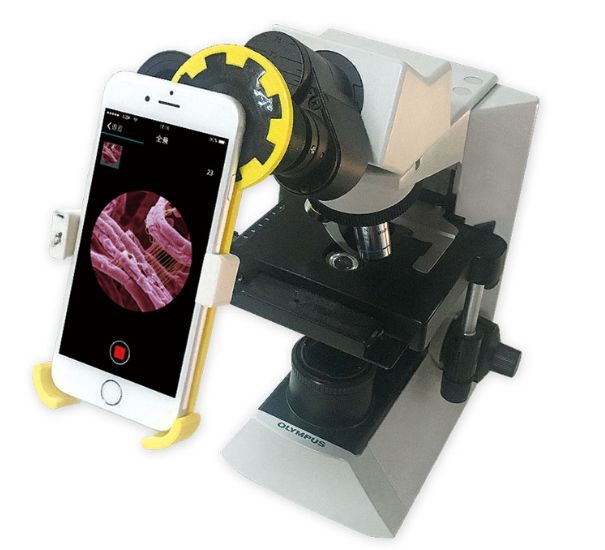 ��΢������֧��-̩�����������֣�������