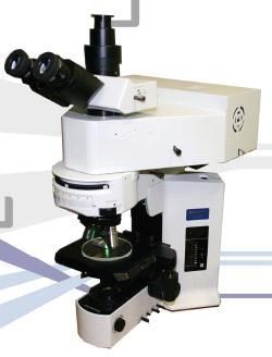 D�͹��۽�����������