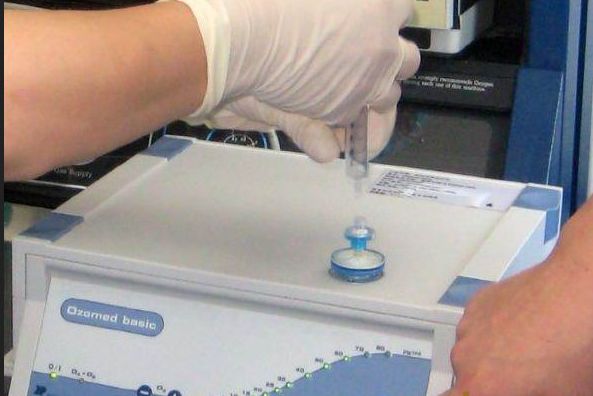 ���������ǣ�����������