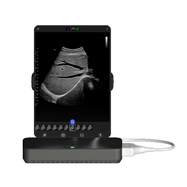 ˼��Ʊ�Яʽ��ɫ�����ճ�������ǣ�͹��