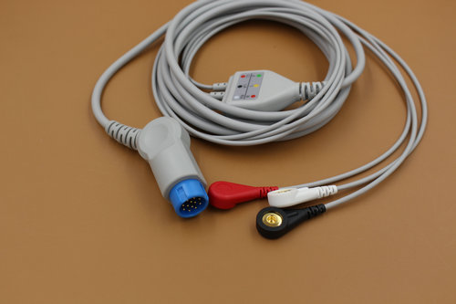 �ĵ絼����/�����ڱ����ؼ໤��ECG������
