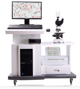 ����ȫ�Զ����ӷ�����