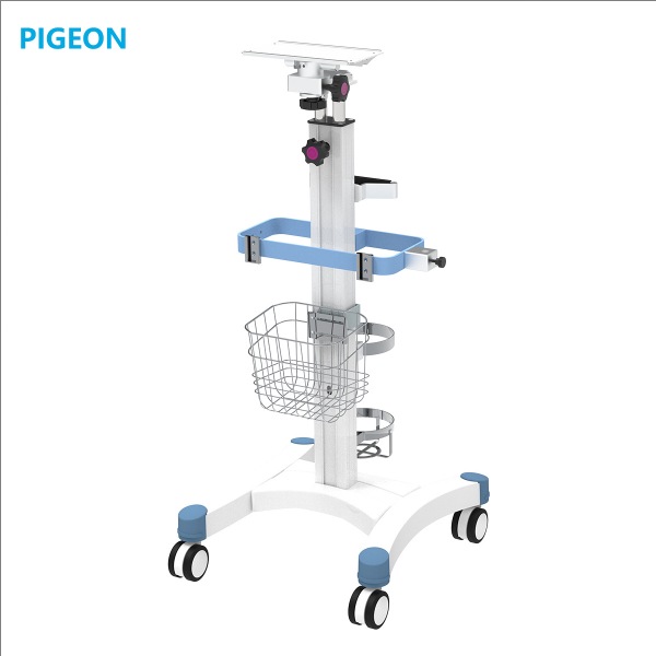 PIGEON���ӳ����·��������໤�ǳ����ڿ����������� �Ƴ���������