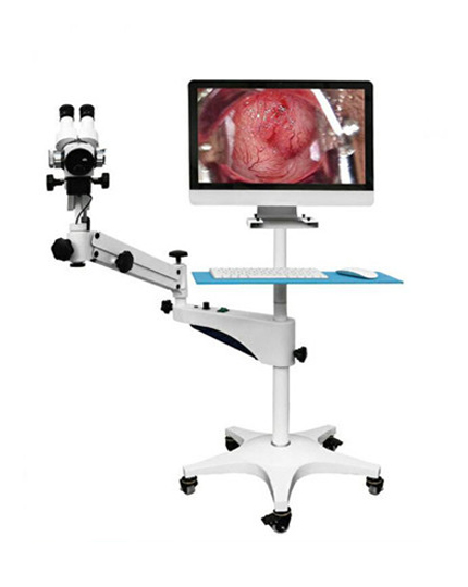 ��ѧ���������������������