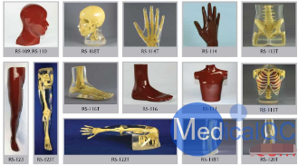 ����RSD���岿��ģ��