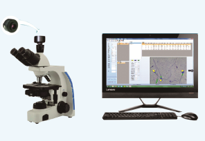 ���þ��ӷ�����