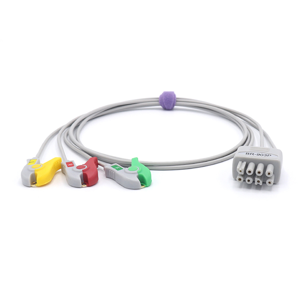 �����ձ����BR-903P����ŷ���ʽ�ĵ絼����