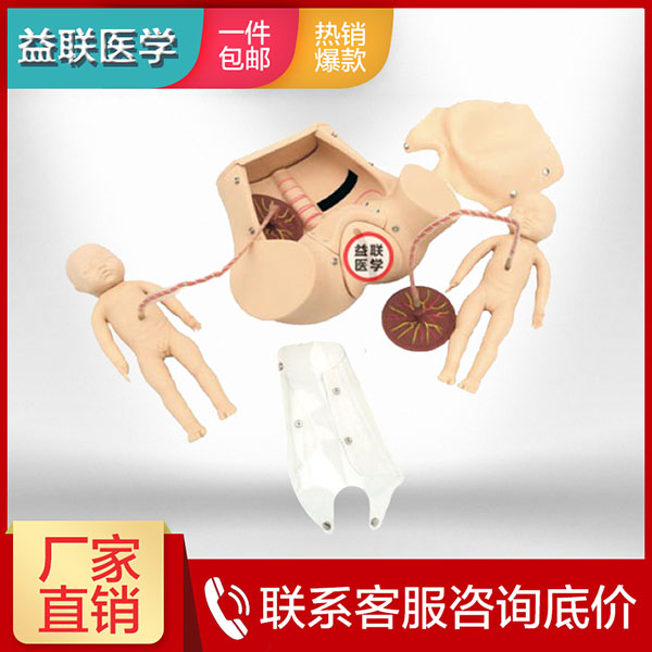 ����ҽѧ�����ۺϼ���ѵ��ģ��