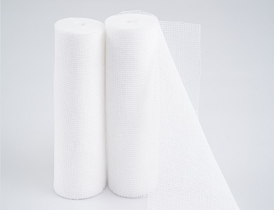 ɴ������