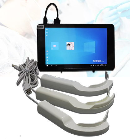 ���Ӻ���