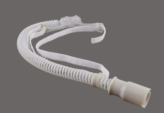 ������/������������/�������ǵ���/������ʪ������