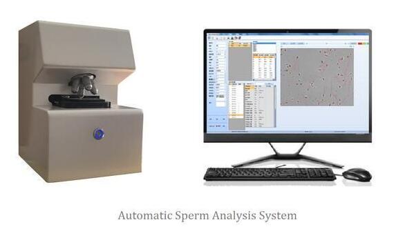 ȫ�Զ���������������