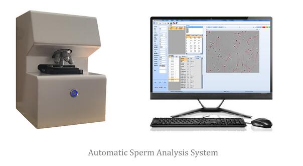 ȫ�Զ����ӷ�����