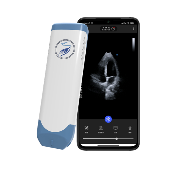 ˼������ϲ�ɫ�����ճ��������