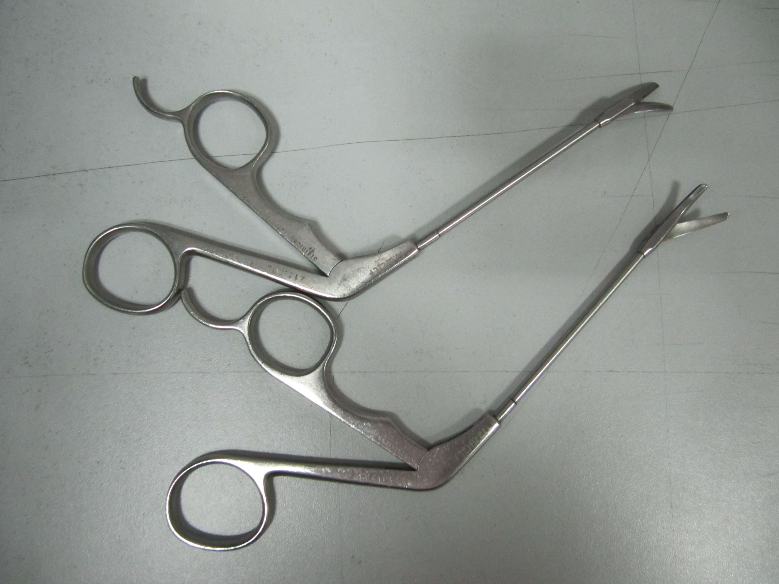 ����wolf ��ǻ����Ƥ��������еά��