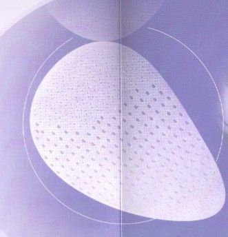 Aspide �Ǳ�֯��Ƭ