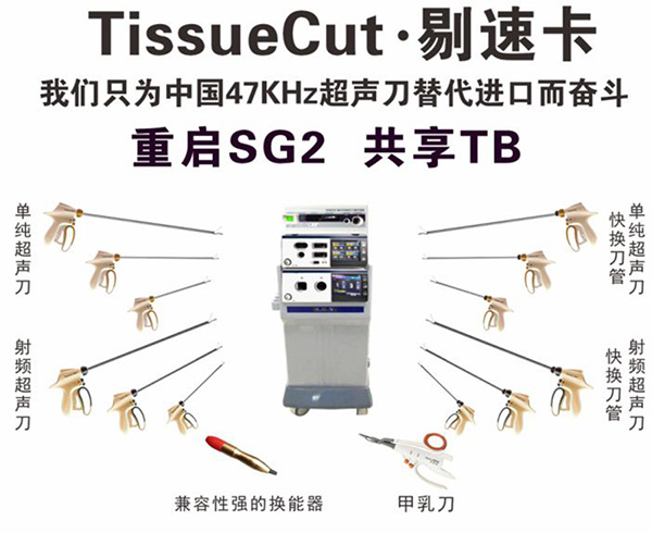 ���ٿ���Ƶ��������