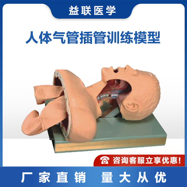 ����ҽѧ�������ܲ��ѵ��ģ��