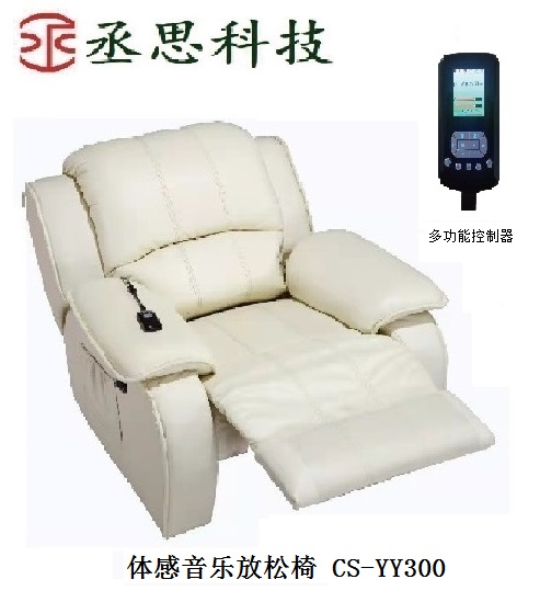 ������ַ����� CS-YY300