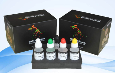 �����黯�Լ�/IHC/�����黯��Ⱦ�Լ���