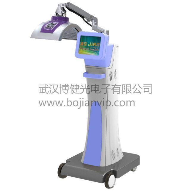 ������������ ���������ƻ�