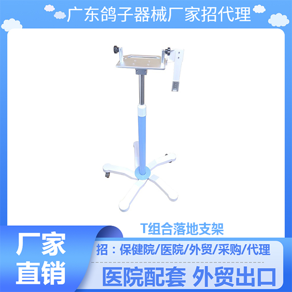 �㶫����T������֧��
