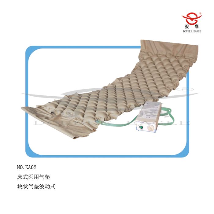 ��ʽҽ������