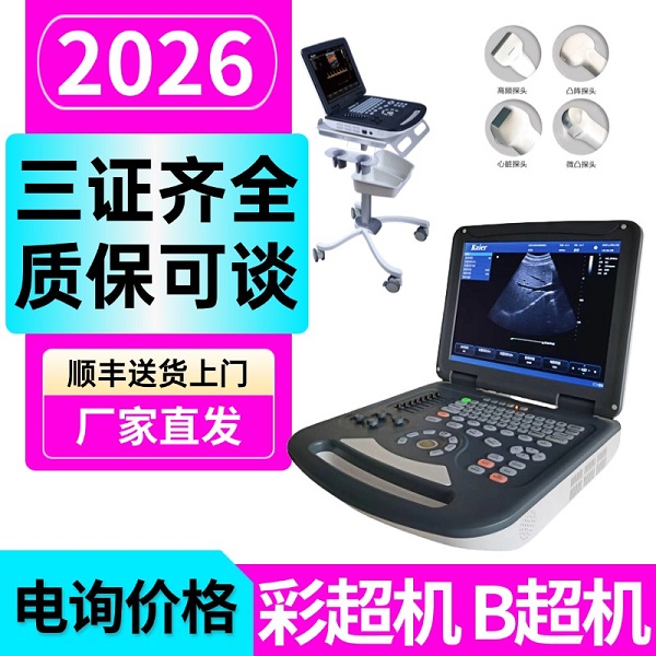 ����Ʒ�� b����/�ʳ���/�ڰ׳� ��ɫ�ʳ�������