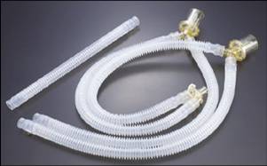 ����������Ĳ��ظ��Ժ�����·