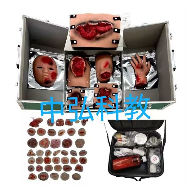 �������ģ������(58��)ZH/ZJ58 �������ģ������ģ��