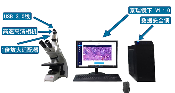 ̩�������ֲ���ͼ���������