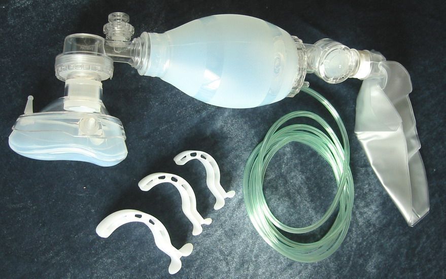 ���׺�����